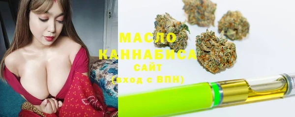 тгк Бородино