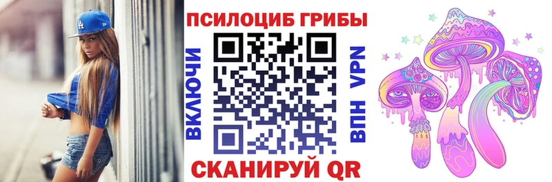 Псилоцибиновые грибы Psilocybine cubensis  Заполярный 